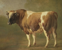 Study of a Bull by Jacques Raymond Brascassat