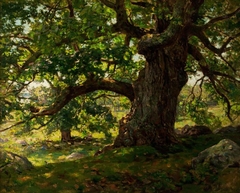 The Oak by Charles Harold Davis