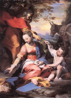 Untitled by Federico Barocci