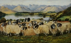 View of Windermere and Langdale Pikes from Low Wood, with a Flock of Seventeen Herdwick Sheep by William Taylor Longmire