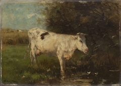 White Cow by Willem Maris