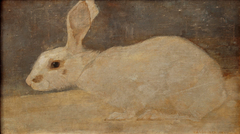 White rabbit by Jan Mankes