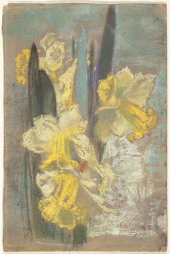 Winter Daffodils by Sarah W Whitman