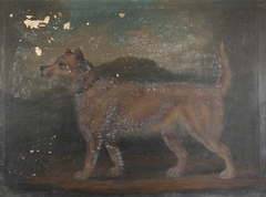 A Dog by Unknown Artist