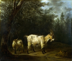 A Goat and a Kid by Adriaen van de Velde