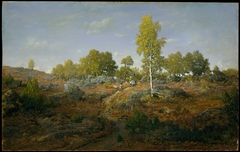 A Path among the Rocks by Théodore Rousseau