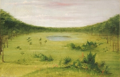 Beautiful Savannah in the Pine Woods of Florida by George Catlin