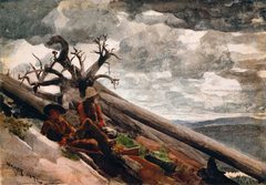 Burnt Mountain by Winslow Homer