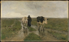 Changing Pasture by Anton Mauve