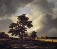 Country Road with Cornfields and Oak Tree by Jacob van Ruisdael