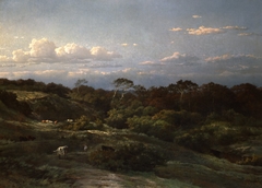 De Haarlemse duinen by Louwrens Hanedoes