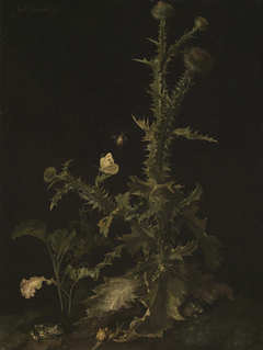 Distel mit verschiedenen Tieren by Willem van Aelst