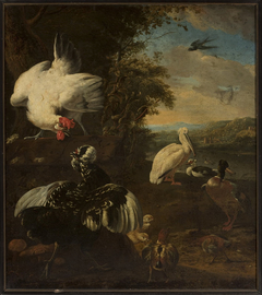 Domestic fowls by Melchior d'Hondecoeter