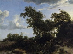 Dune Landscape in Evening Light with a Man Driving an Ass by Jacob van Ruisdael