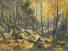 'Felsenmeer' by Egbert Rubertus Derk Schaap