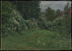 Hollerblüte by Hans Richard von Volkmann