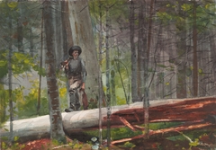 Hunter in the Adirondacks by Winslow Homer