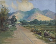 Landscape of Manoa Valley, Honolulu by D. Howard Hitchcock