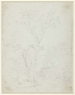 Landschap met wijdvertakte boom by Jean-Honoré Fragonard