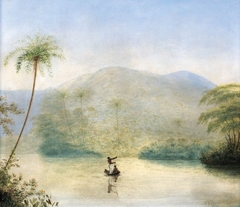 On the River, Near Santos,  Brazil by William John Burchell