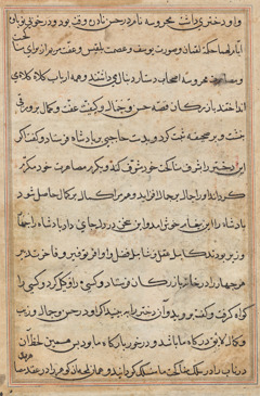 Page from Tales of a Parrot (Tuti-nama): text page by Unknown Artist