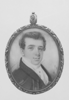 Portrait of a Gentleman by Henry Williams