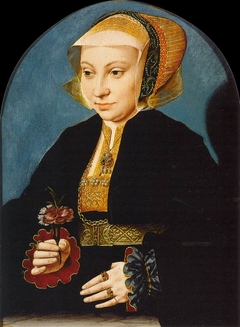 Portrait of a Woman by Barthel Bruyn the Elder