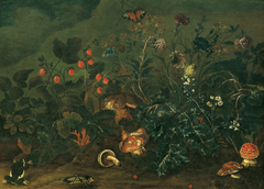 Rasenstück mit Erdbeeren und Grille by Franciscus Michael Sigismund von Burgau