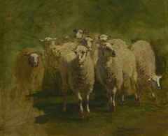 Sheep by Constant Troyon