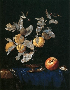 Still Life with Fruit by Willem van Aelst