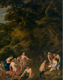 The Bath of Diana and Callisto by Peter van Halen