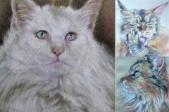 the cats in pastel by Araceli Requena