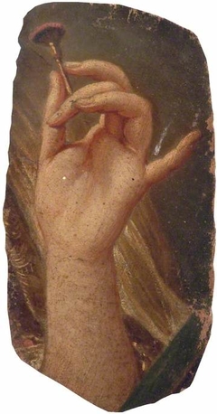 The Hand of Madame de Pompadour by François Boucher