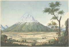 Tropisch landschap met bergen by Unknown Artist