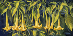 Trumpet Flowers - Fleurs trompettes by Susan Gerrett