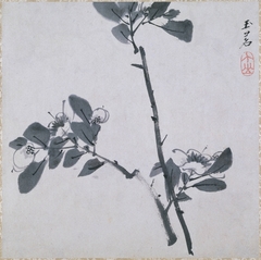 Two Twigs of Camellia (Two Twigs of Flowering Fruit) by Bada Shanren