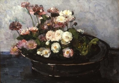 Daisies by Floris Verster