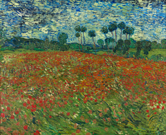 Poppy field by Vincent van Gogh