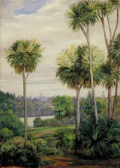 View of Melbourne from the Botanic Gardens by Marianne North