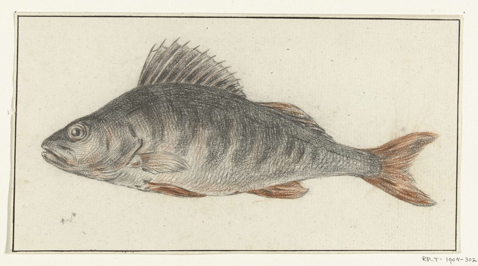 Exhibit image