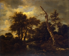 Winter landscape with dead tree by Jacob van Ruisdael