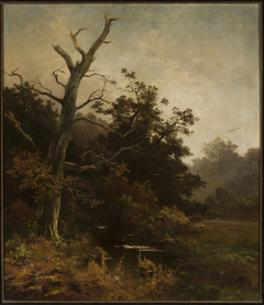 Withered tree on a river bank by Ludwig Willroider