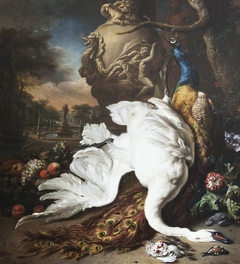 A Dead Swan and Peacock by Jan Weenix