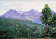 Another View of Papandayang with Jak Fruit Tree in the Foreground by Marianne North