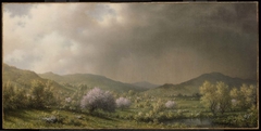 April Showers by Martin Johnson Heade