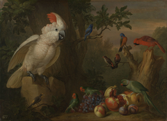 Birds and Fruit in a Landscape by Jakob Bogdani