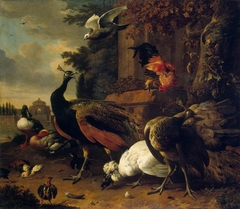 Birds in a Park by Melchior d'Hondecoeter