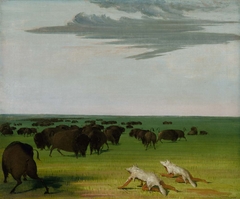 Buffalo Hunt under the Wolf-skin Mask by George Catlin