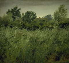 Field of Oats near Vejby by P C Skovgaard