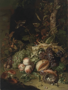 Fruit on a Forest Floor by Rachel Ruysch